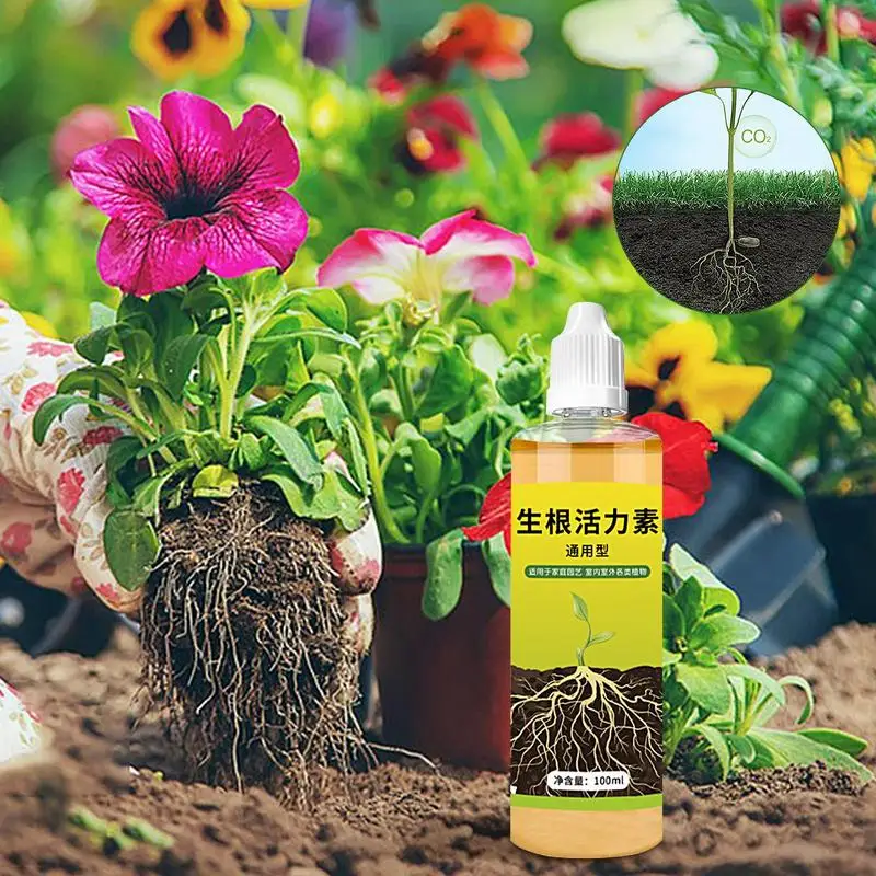 Рисунок 3 - Гормоны роста корней