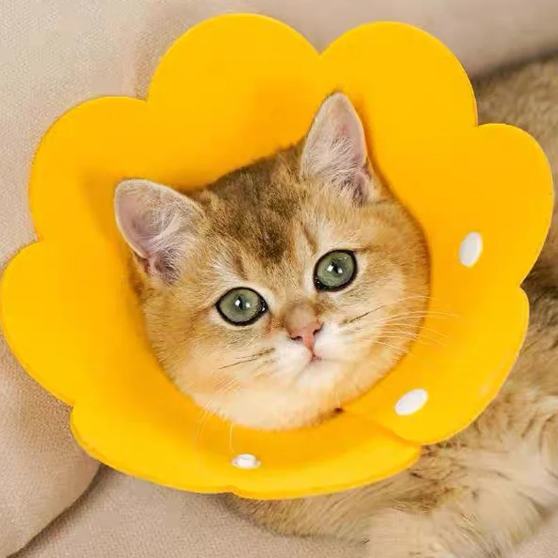 

Anti-bite Felt Cat Collar Elizabeth Circle Cat Sun Flower Collar Pet Products Anti-Licking Cat Collar Chihuahua Cute Dog Collar