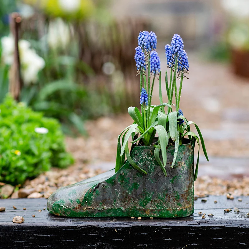 

Decorative Rustic Vintage Green Metal Shoe Shaped Planter