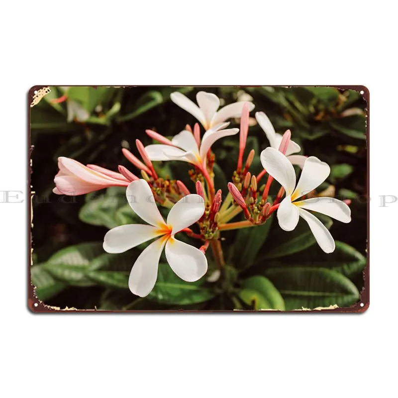 

White Flower Metal Plaque Cinema Kitchen Customized Personalized Funny Tin Sign Poster