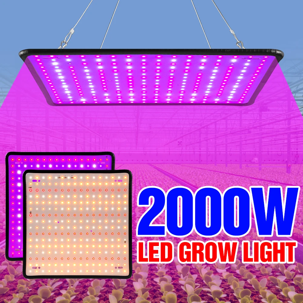 

2000W LED Phyto Lamp Full Spectrum Plant Grow Light Quantum Board Hydroponics Growing System Light Indoor Flower Seeds Tent Bulb