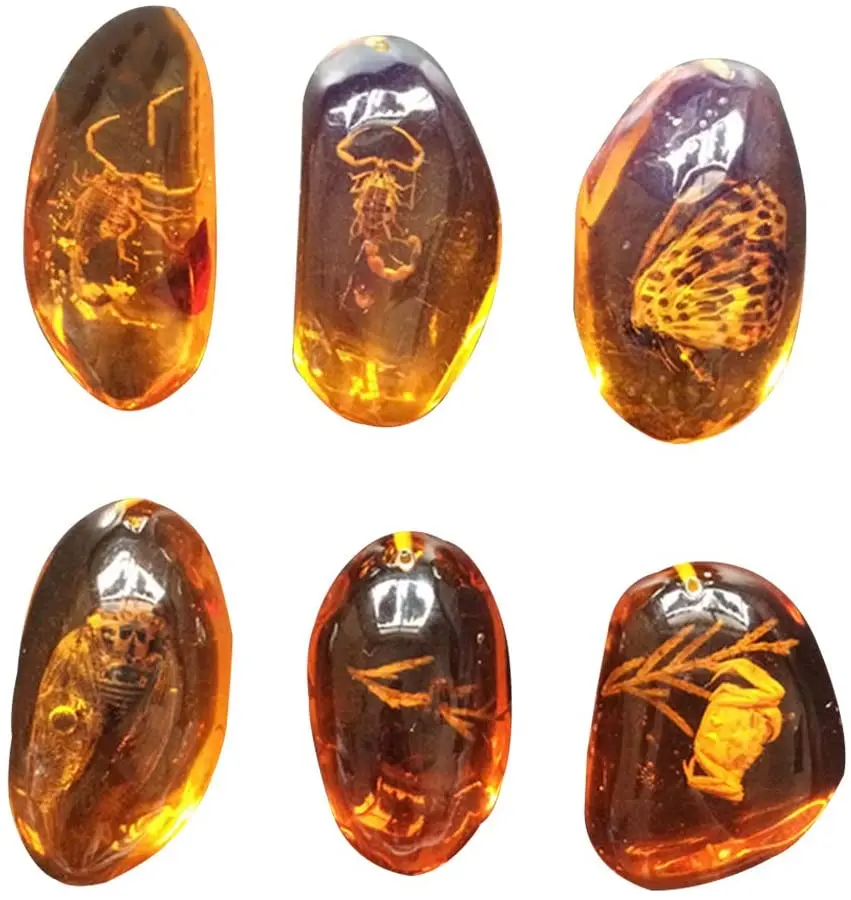 

5pcs Amber Fossil with Insects Samples Stones Crystal Specimens Home Decorations Collection Oval Pendant (Random Pattern)
