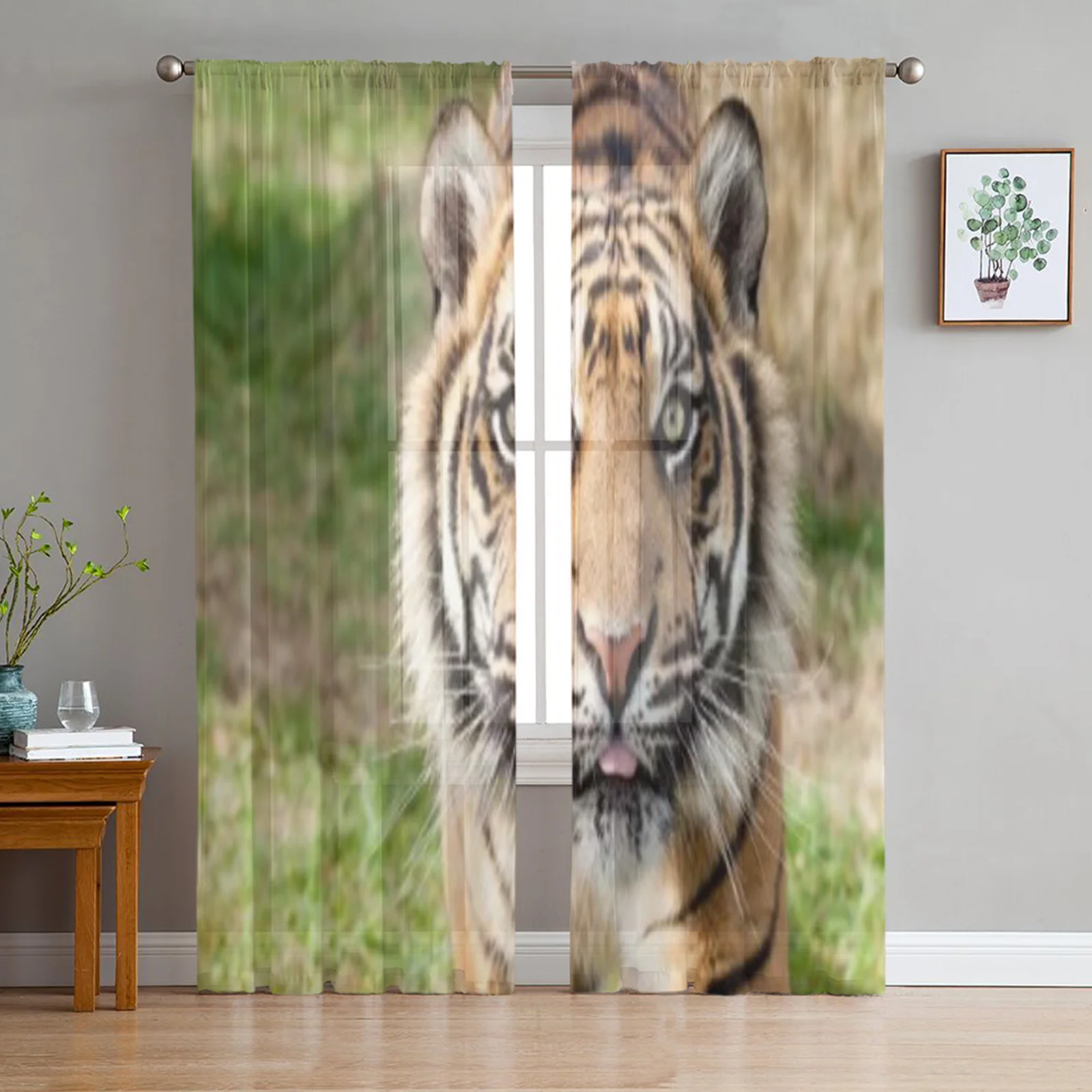 

Close Up Head Shot Of Sumatran Tiger Panthera Tigris Sumatrae Tulle Sheer Curtains for Living Room Decor Voile Organza Curtain