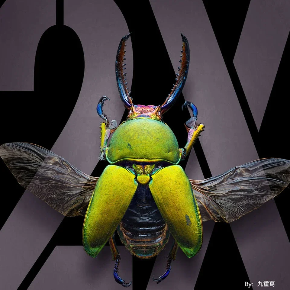 TTArtisan 100 мм F2.8 Macro 2x полнокадровый объектив DSLR для Canon Sony FujiNikon съемки насекомых