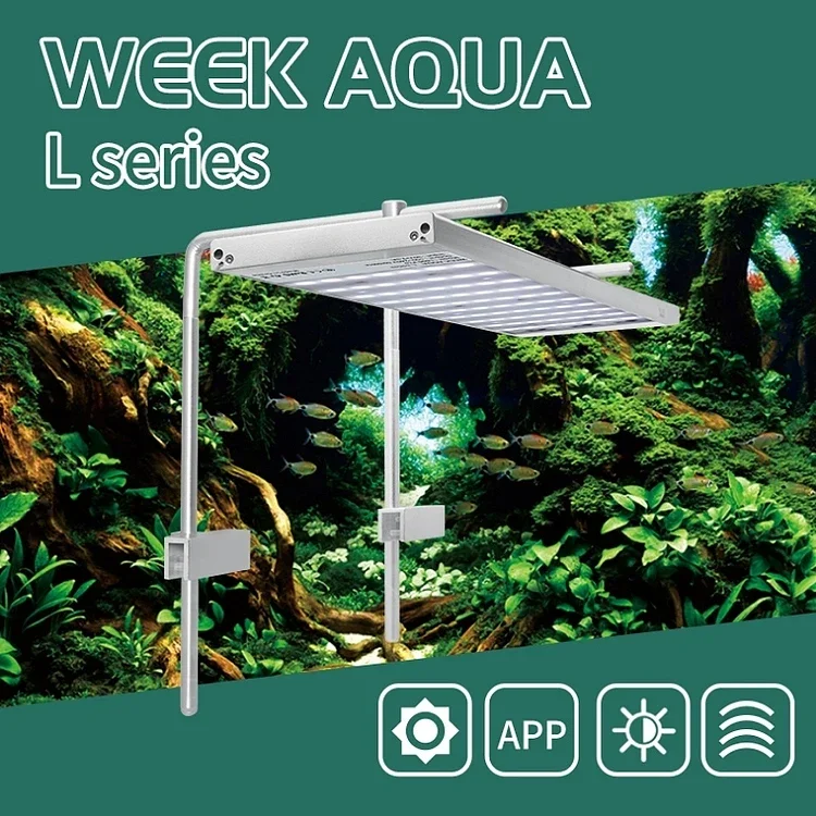Seaweedfs github. 75. Week aqua. Varmann qtherm q 230. Week aqua.