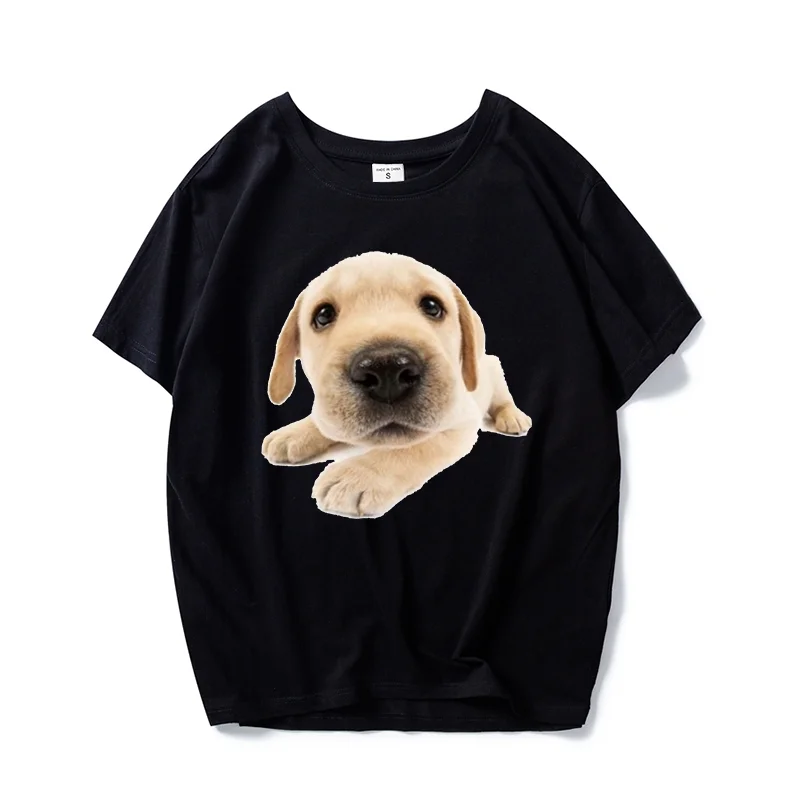 Рисунок 5 - Футболка мужская самостоятельного дизайна