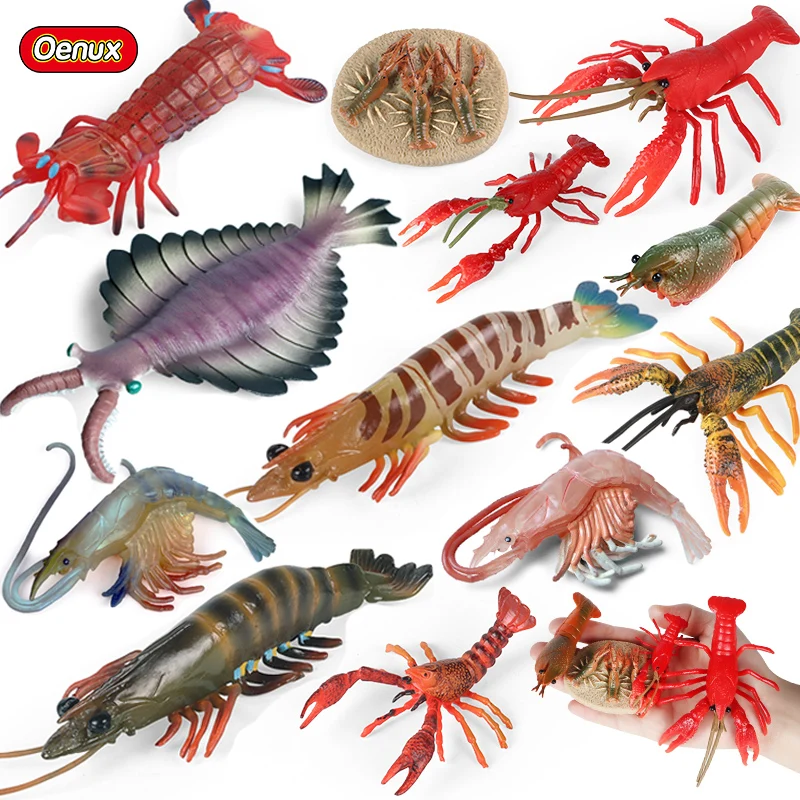 

Oenux Ocean Animals Figurines Toy Crayfish Shrimp Growth Cycle Sea Life Model Action Figures PVC Kids Cute Early Education Gift