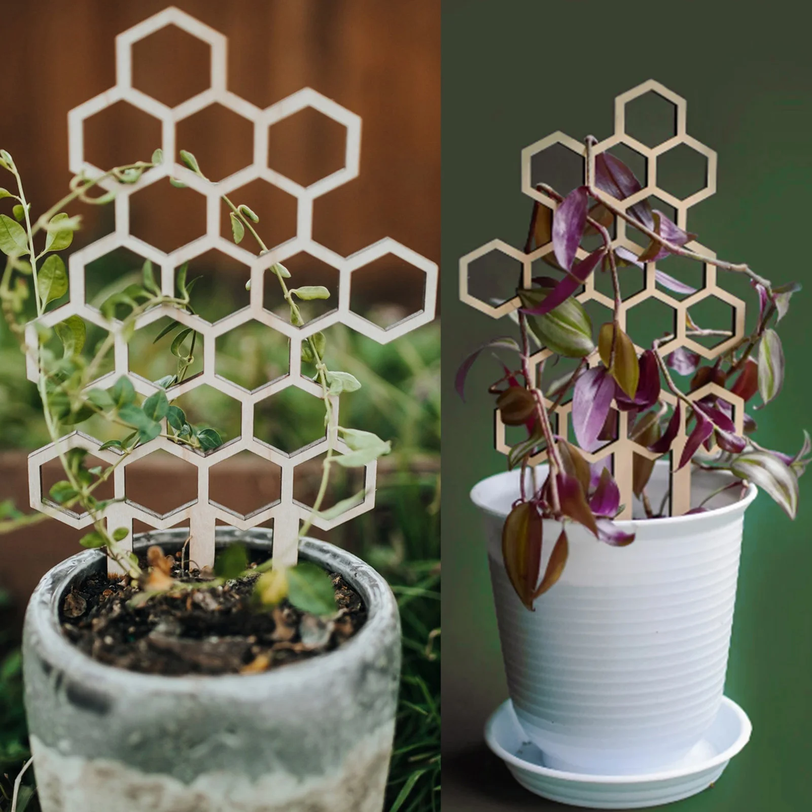 

3 Packs Trellis for Potted Plants Trellis for Climbing Plants Indoor Honeycomb Trellis Plant Support Flower Stem Vines Climbing