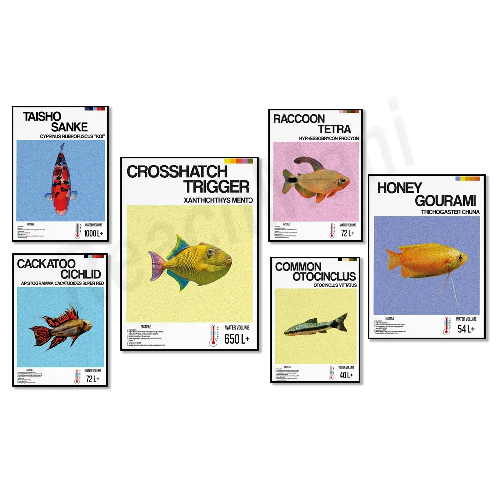 Декоративная рыба Рыба-триггер Crosshair Рыба Тетра Тайшо Отоцинклю Рыба-медовые