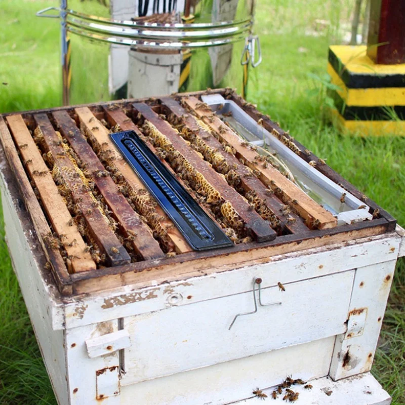 Ловушка для жуков Пластиковые ловушки Инструменты пчеловодства на ферме