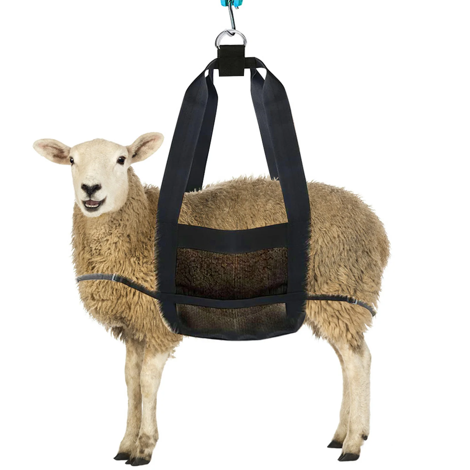 

Lamb Sling for Weighing Animals Calf Sling Weighing Livestock Sling Suitable for Goats and Other Small Animals