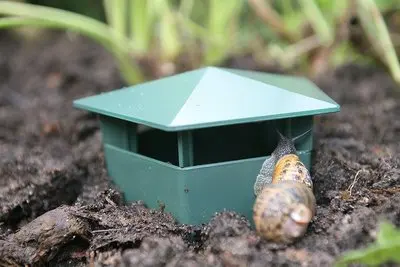 

Beer slugs and snail traps environmentally friendly catching snails is safe for children and pets snail garden environment