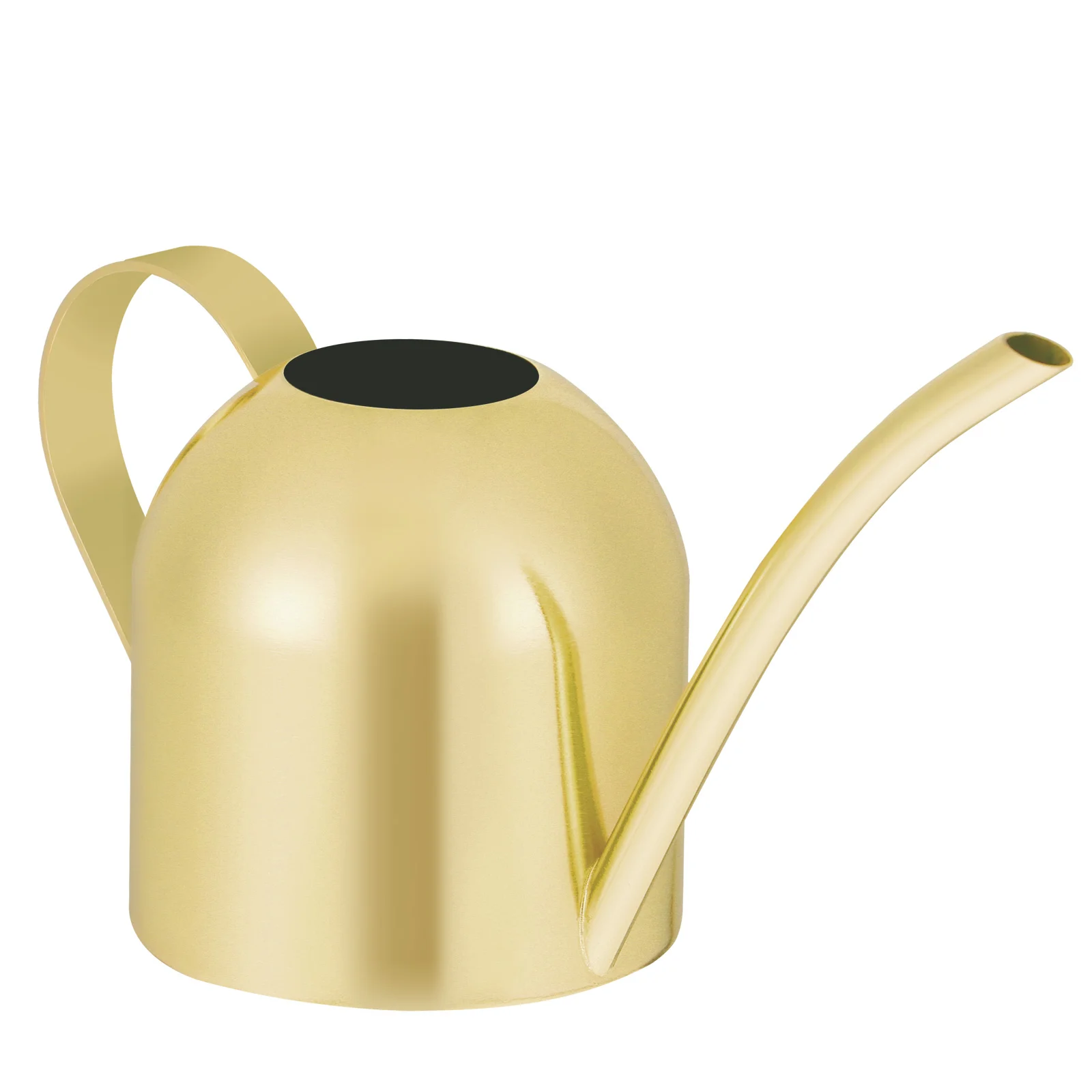 

Succulants Watering Kettle Small Metal Mini Watering Can Indoor Pretty Watering Can Watering Pot