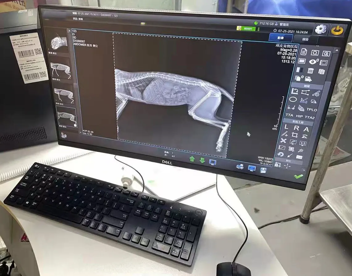 Оборудование для больницы животных модель в виде почек Xray machhinesupply