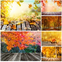 natural scenery photography background fall leaves forest landscape travel photo backdrops studio props 211224 qqtt 05