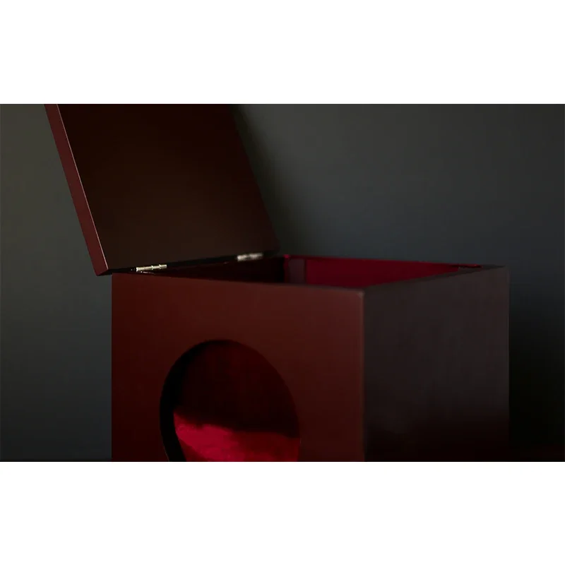 Дин бокс (Дин Dill) магические трюки искусственные и кольцевая коробка магический