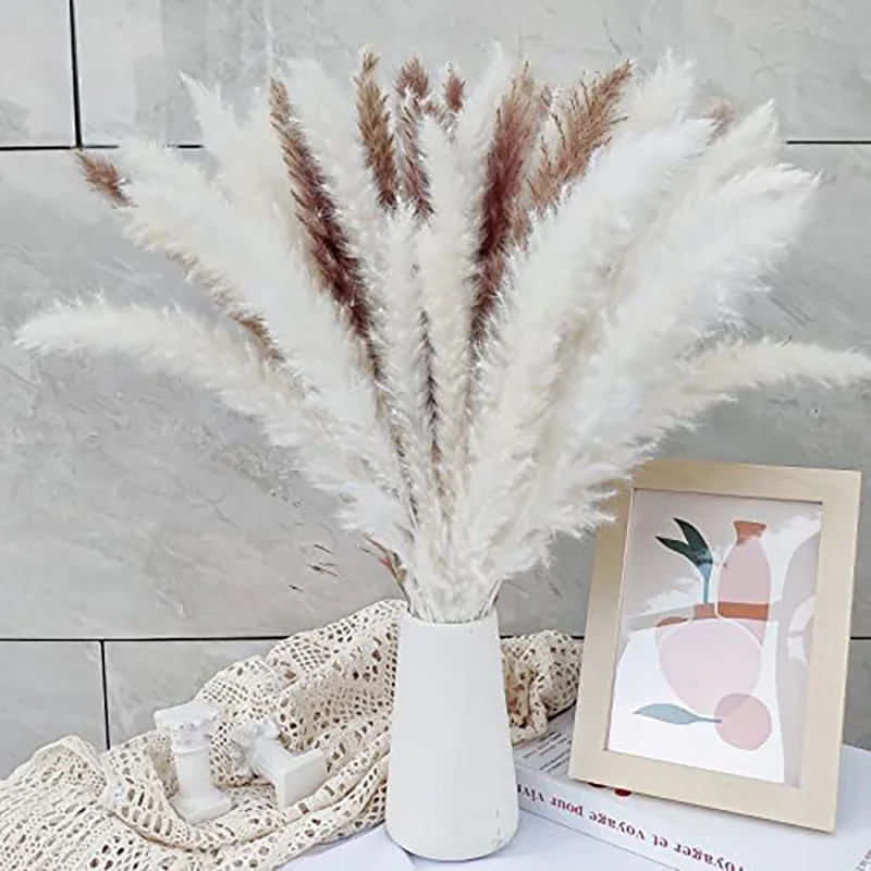 

50Pc Pampas Grass Decoration Natural Dried Plant Beige White Fluffy Pampa Grass DIY Bouquet Wedding Arrangements Boho Home Decor