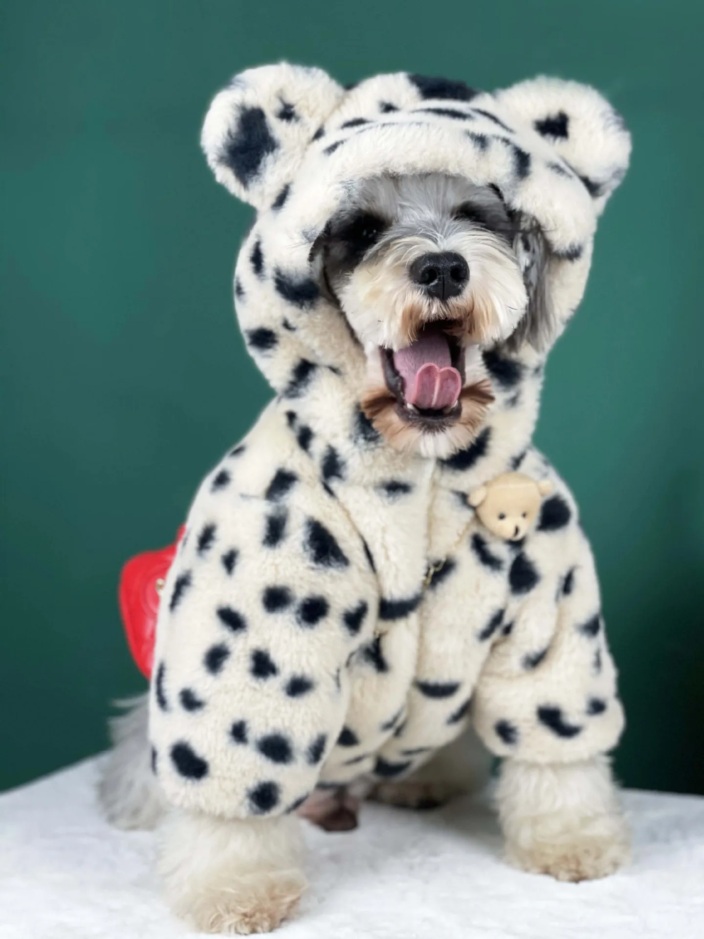 

Dog Clothes Autumn And Winter Thickened Warm Spot Plush Coat Small And Medium-sized Dog Chenery Teddy Cat Pet Suit