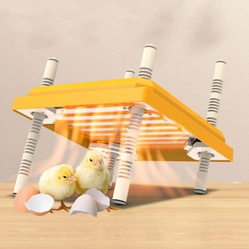 

Poultry Brooder for Newly Hatched Chicks and Ducklings Small 10x10in Chicks Brooder Heating Plate Warm Up to 15 Chicks