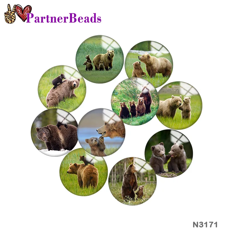 

Медведь, изображение, печать, металлическая кнопка «сделай сам», аксессуары, подходит к сумке, шляпе, одежде, обуви N3171