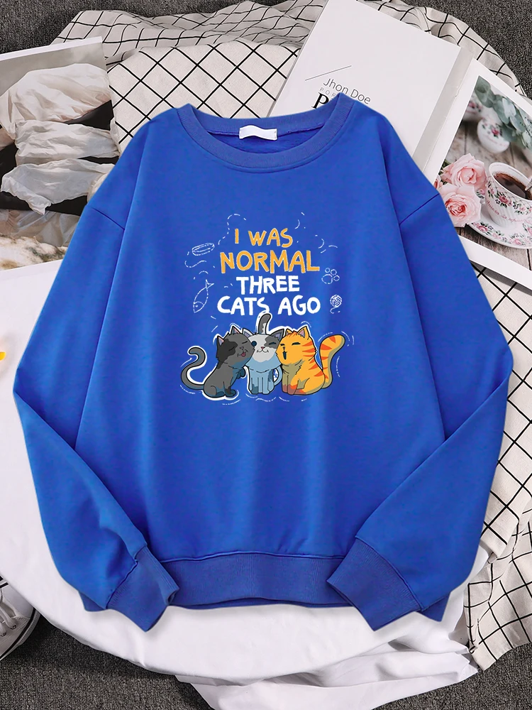 

Толстовка с капюшоном женская, корейский Свободный пуловер с капюшоном, для влюбленных, влюбленных, «Я была нормальной»