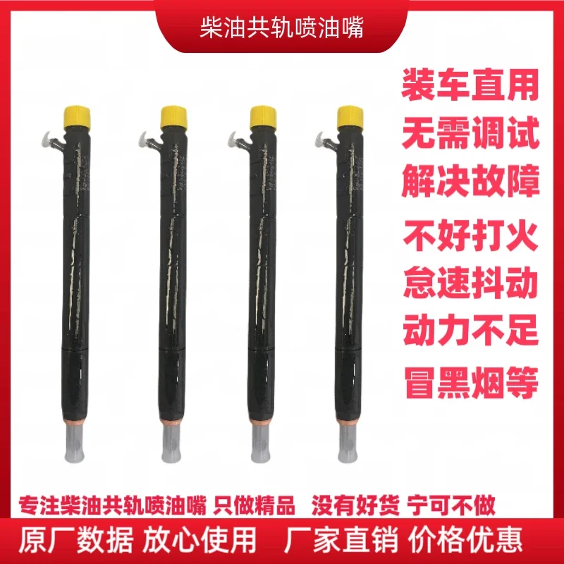 Shuanglong Aiteng Enjoy Royal Leicester 2.0 2.7T Delphi Fuel Injector 4501D 4601D 4701D