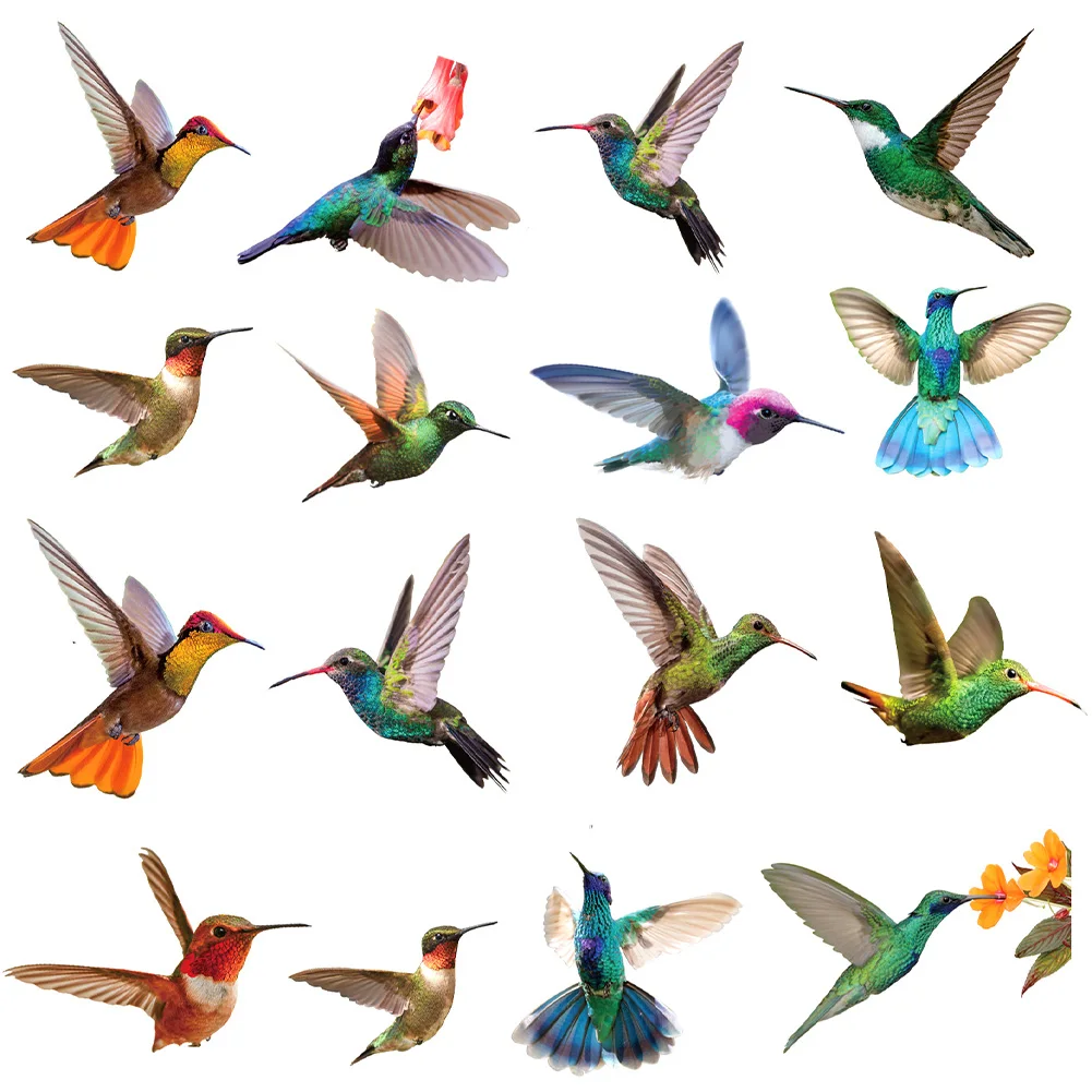 

9PC Hummingbird Sticker Glass Decal Electrostatic Glass Film Anti-Collision Window Cling To Prevent Bird Strikes Home Decoration