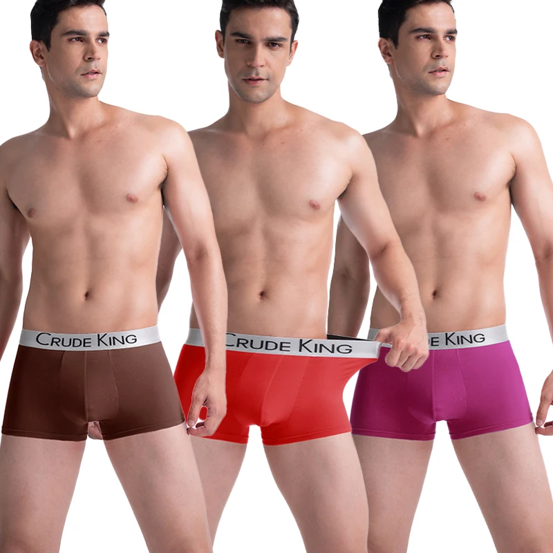 QUALIXIO 5Pcs/lot Men Boxer Shorts Underwear Antibacterial Boxershorts Male Panties Fashion Men Underpants Lingeries M-4XL