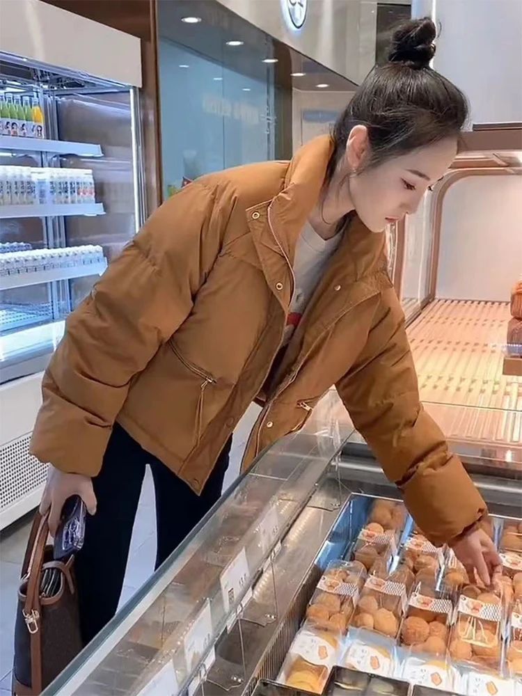 Толстые женские парки зимние теплые свободные пышные пальто корейские куртки с