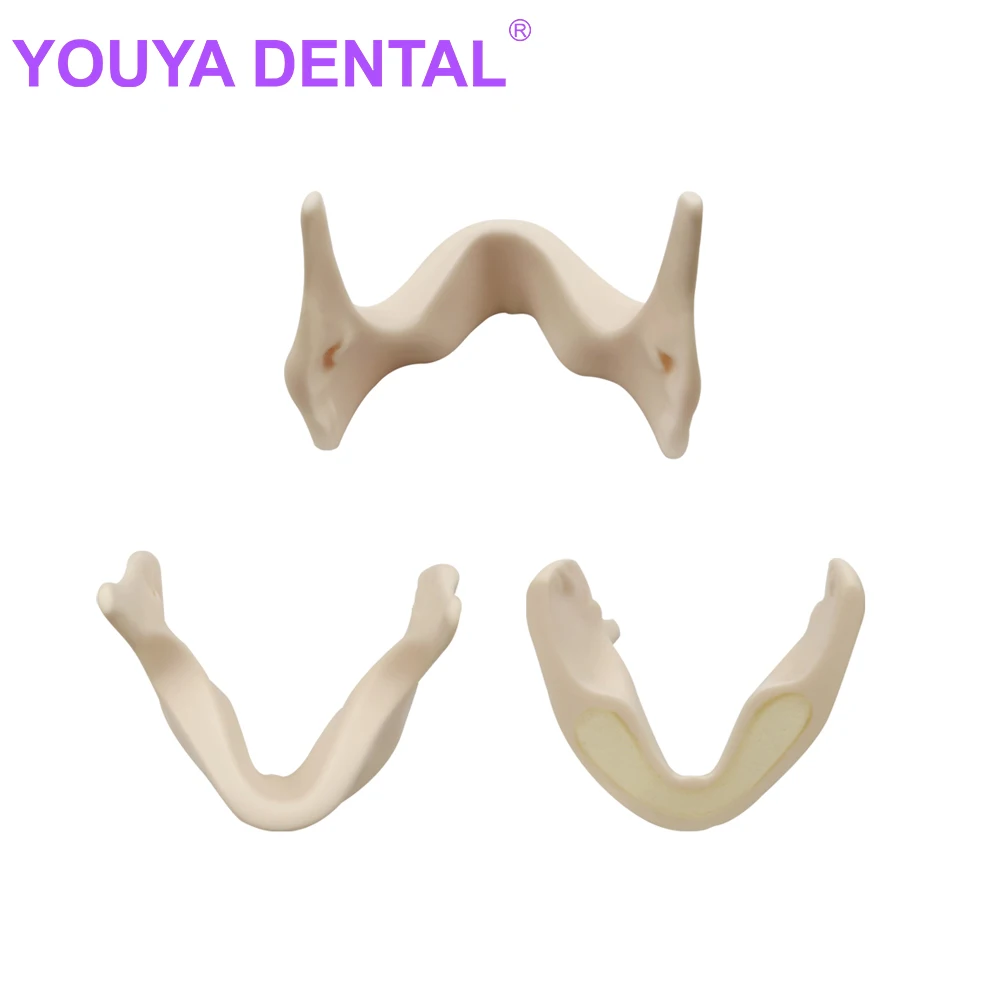 

Dental Mandibular Implant Model Teeth Implant Practice Model Dentist Student Training Studying Demonstration Tool Dentistry Prod