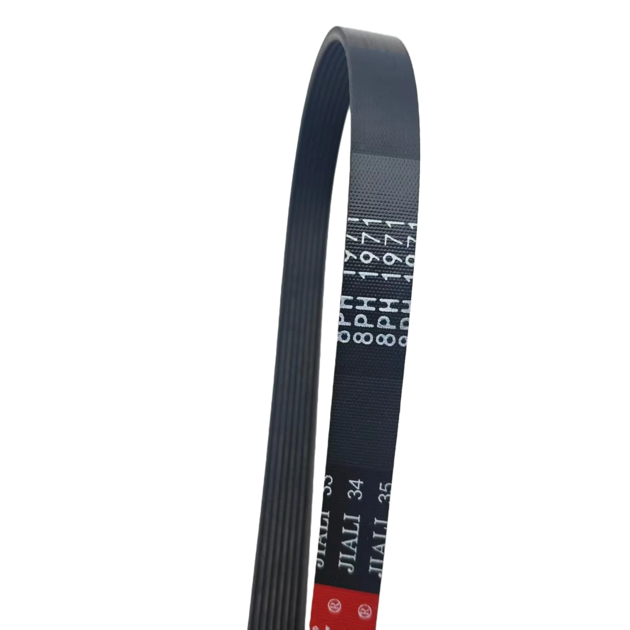 Ремень привода сушилки 8PH1971 подходит для Fisher & Paykel 1971H8 (art.: 3920d7fc71876) - 3920d7fc71876