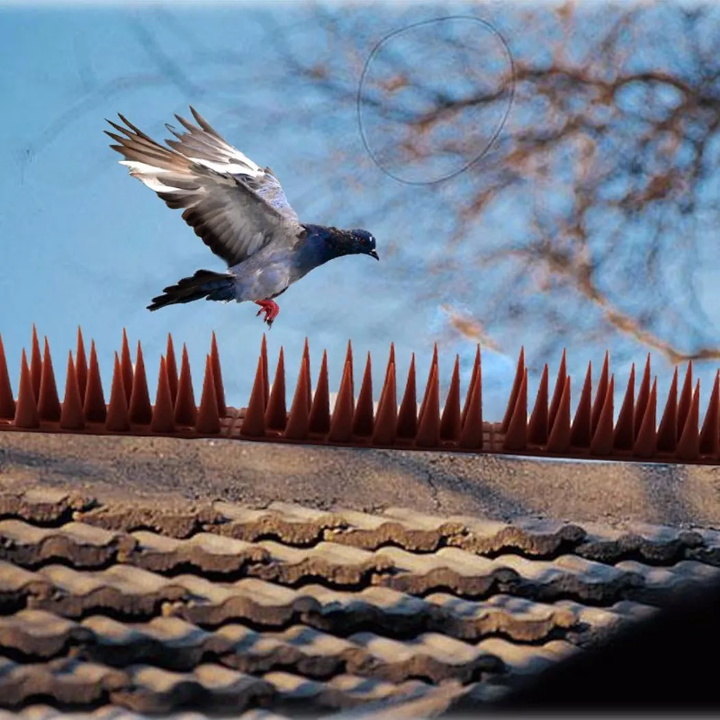 

3.5CM High-quality Plastic Bird Spikes Anti Bird Anti Pigeon Spike Defender Repeller Fence Wall Spikes Cat Animal Repellent