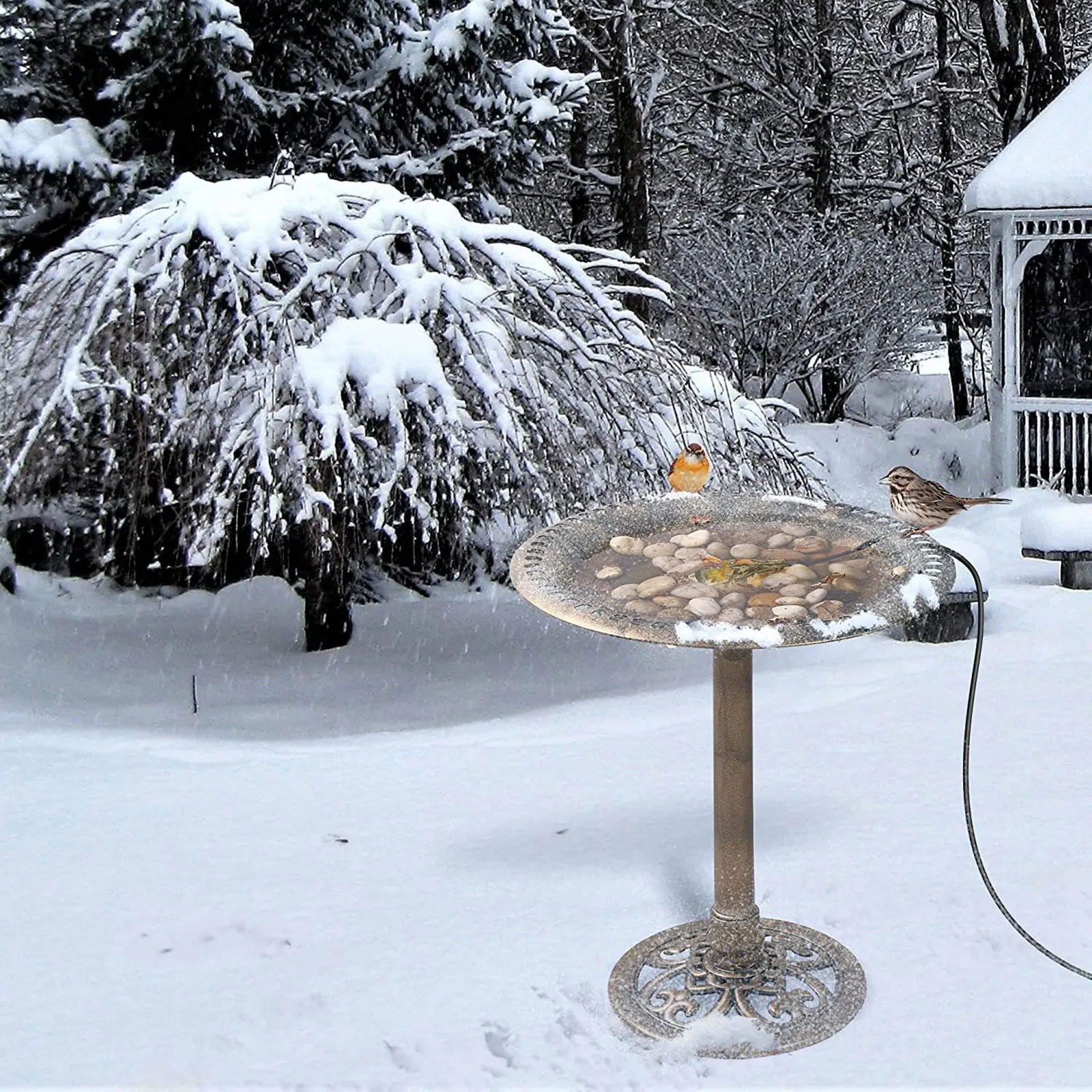 

Bird Bath Heater Perfect for Tabletop Fountains Thermostatically Controlled in Garden Patio Yard Lawn Decoration