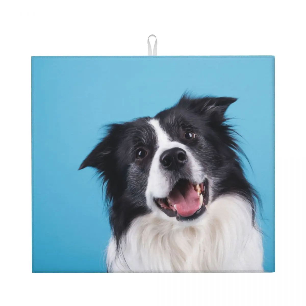 

White Border Collie In The Photo Studio On The Blue Background Drain Pad Sink Mat Drying Mat for Kitchen Counter & Bathroom Kitc