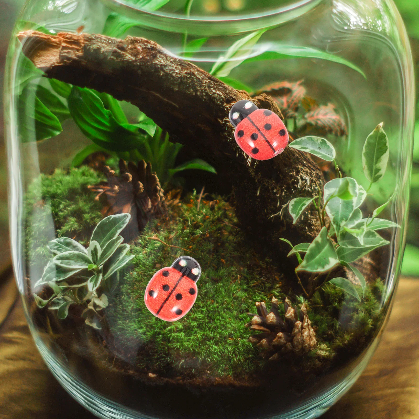 50 шт. сочные микропейзажи горшечные растения божья коровка подвески для поделок