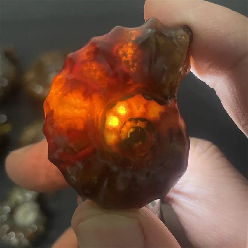 Натуральный кристаллический камень из козьего рога образец лечебных камней