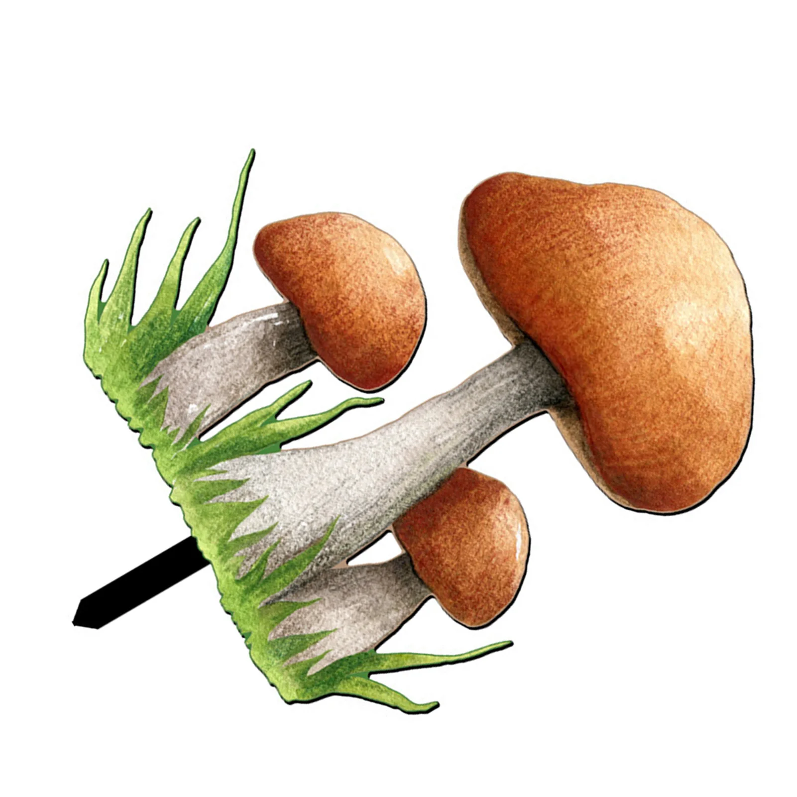 

Фермерский гриб двор искусство вставки земли двухсторонние 3D Растения Орнамент для сада патио и газона