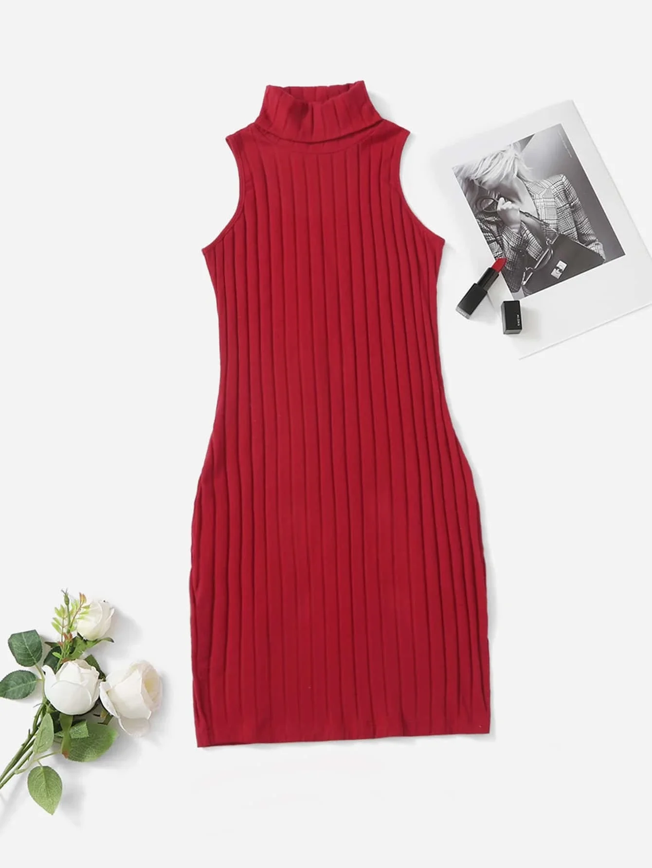 

Turtleneck Ribbed Knit Dress