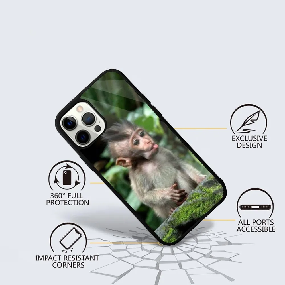 Чехол для телефона Monkey Sipping Caprisun Meme iPhone 15 14 13 12 11 Plus Pro Max Mini Magsafe с магнитной