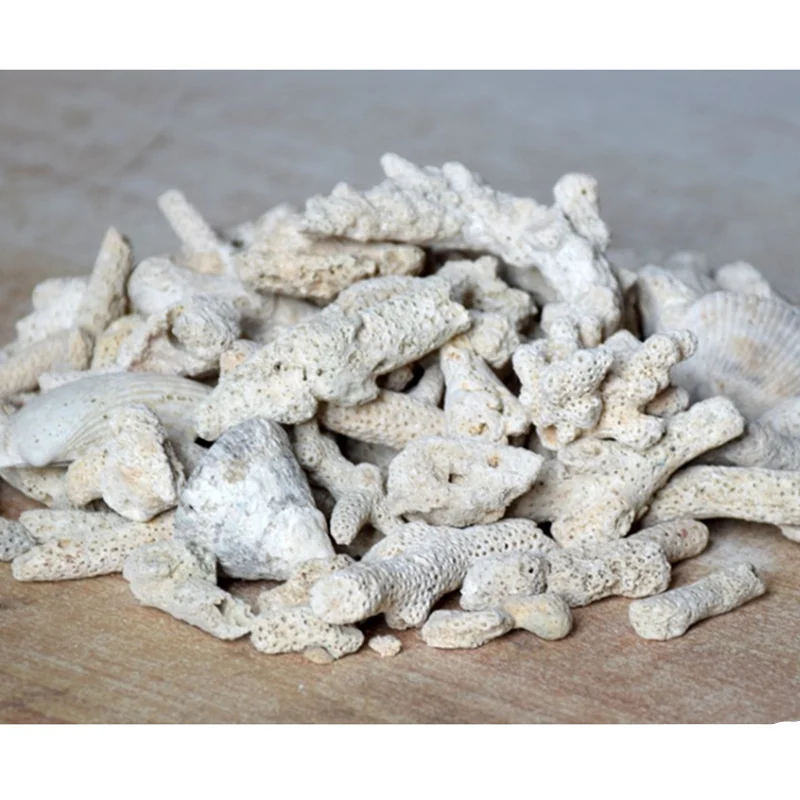 Аквариумный Фильтр С Керамическим Кольцом Из Активированного Угля