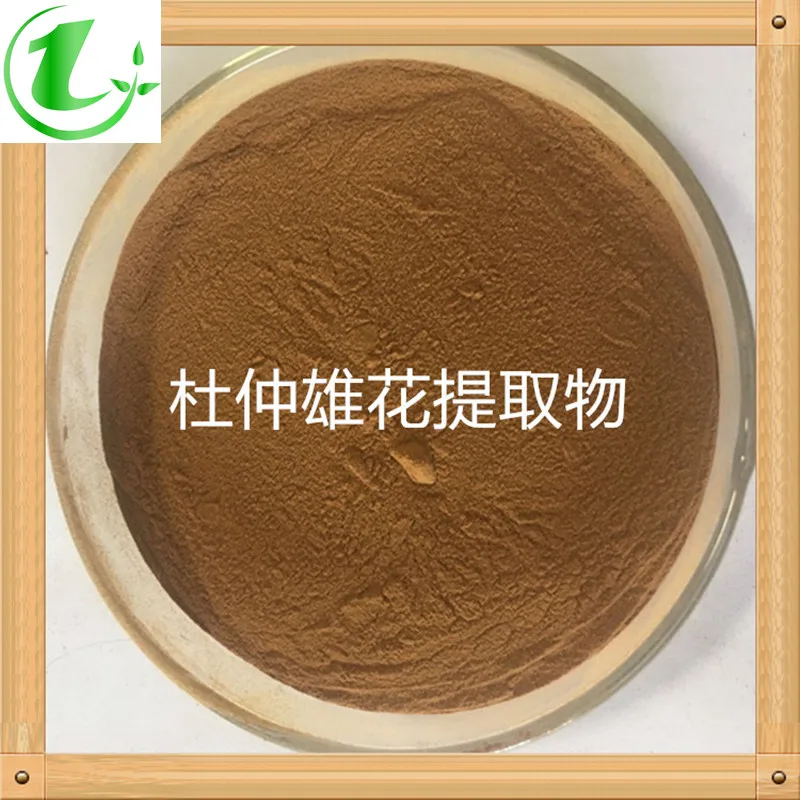

Eucommia Male Flower Extract 20:1 Wild Eucommia Male Flower Essence Powder Concentrated Powder
