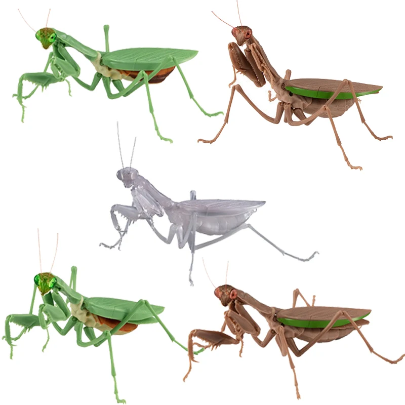 

Bandai Tide Play Swing Pieces Praying Mantis Green Brown Transparent Simulation Insect First Bullet 01 Capsule Toys