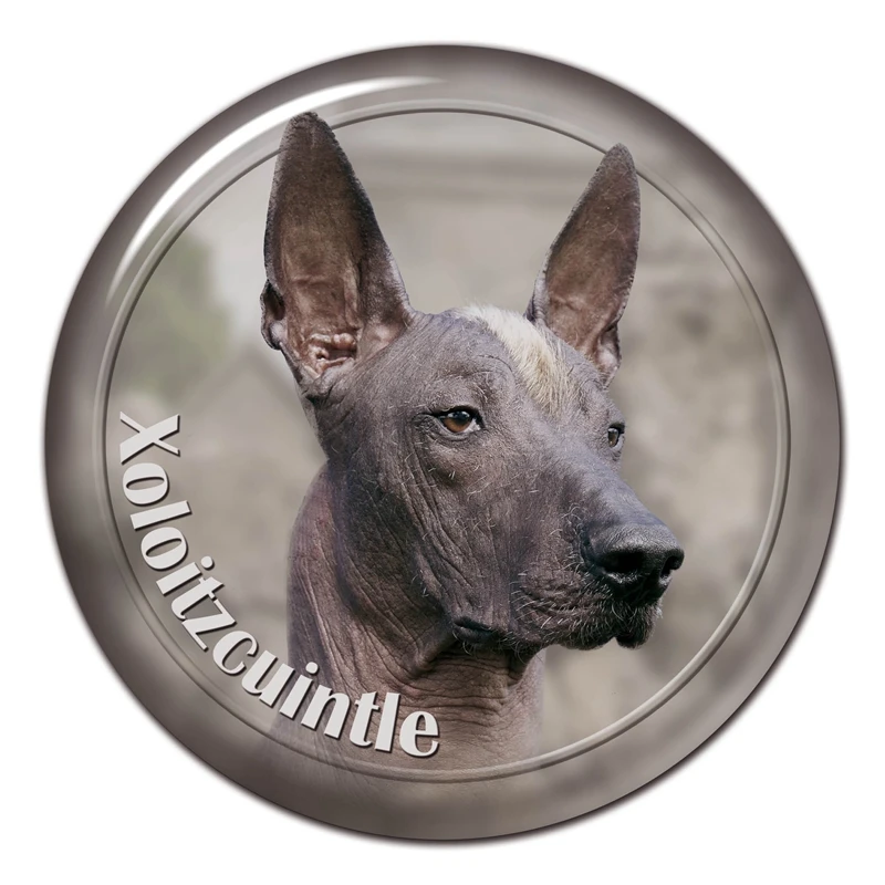 

Съемная наклейка A0635 #13 см/17 см, Xoloitzcuintle Breed стикер на машину с собакой, водонепроницаемые аксессуары на бампер, заднее окно, туалет для ноутбука