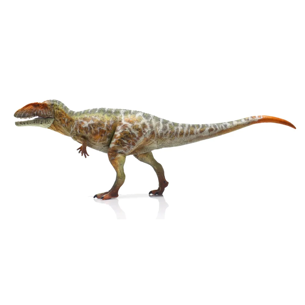 

1:35 HAOLONGGOOD научный Carnotaurus Carcharodontosaurus динозавр игрушка древнее предгистрое животное модель с подвижными челюстями