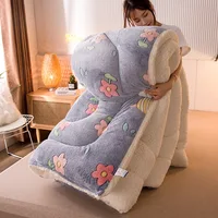 Super Warm Lamb Wool Quilt Winter Thickened Comforter Warmth Cotton Double-Sided Velvet Soft King Queen Full Size Blanket