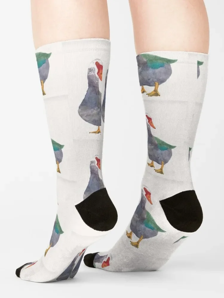 Носки Muscovy с изображением утки акварельных птиц велосипедные мужские