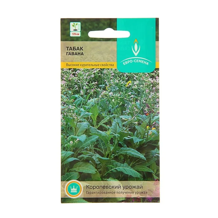 Семена Табак &quotГавана&quot курительный 0 01 г | Дом и сад