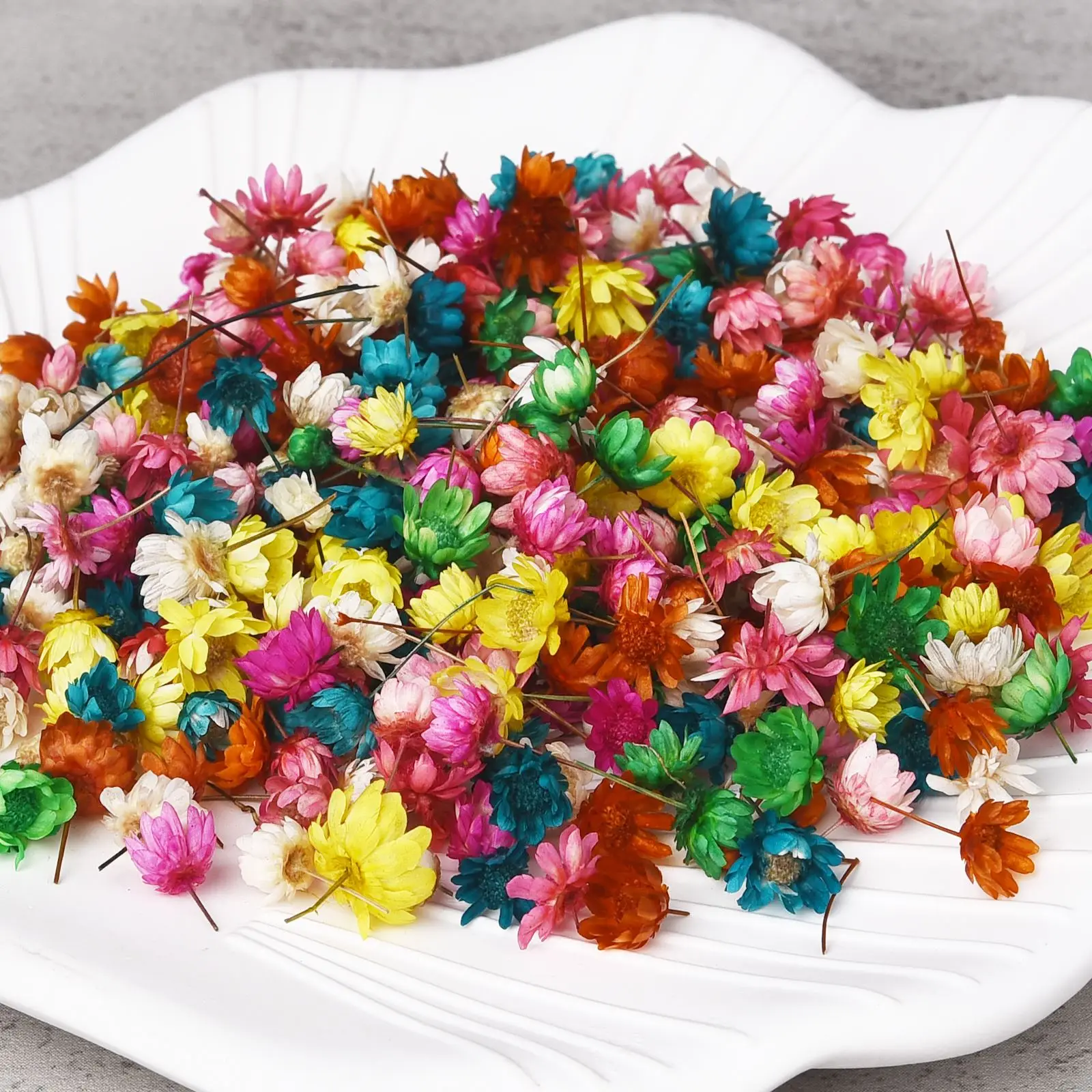 1g/2g Real Dried Flowers Little Star Flower For DIY Art Craft Epoxy Resin Candle Making Jewelery Making Accessories