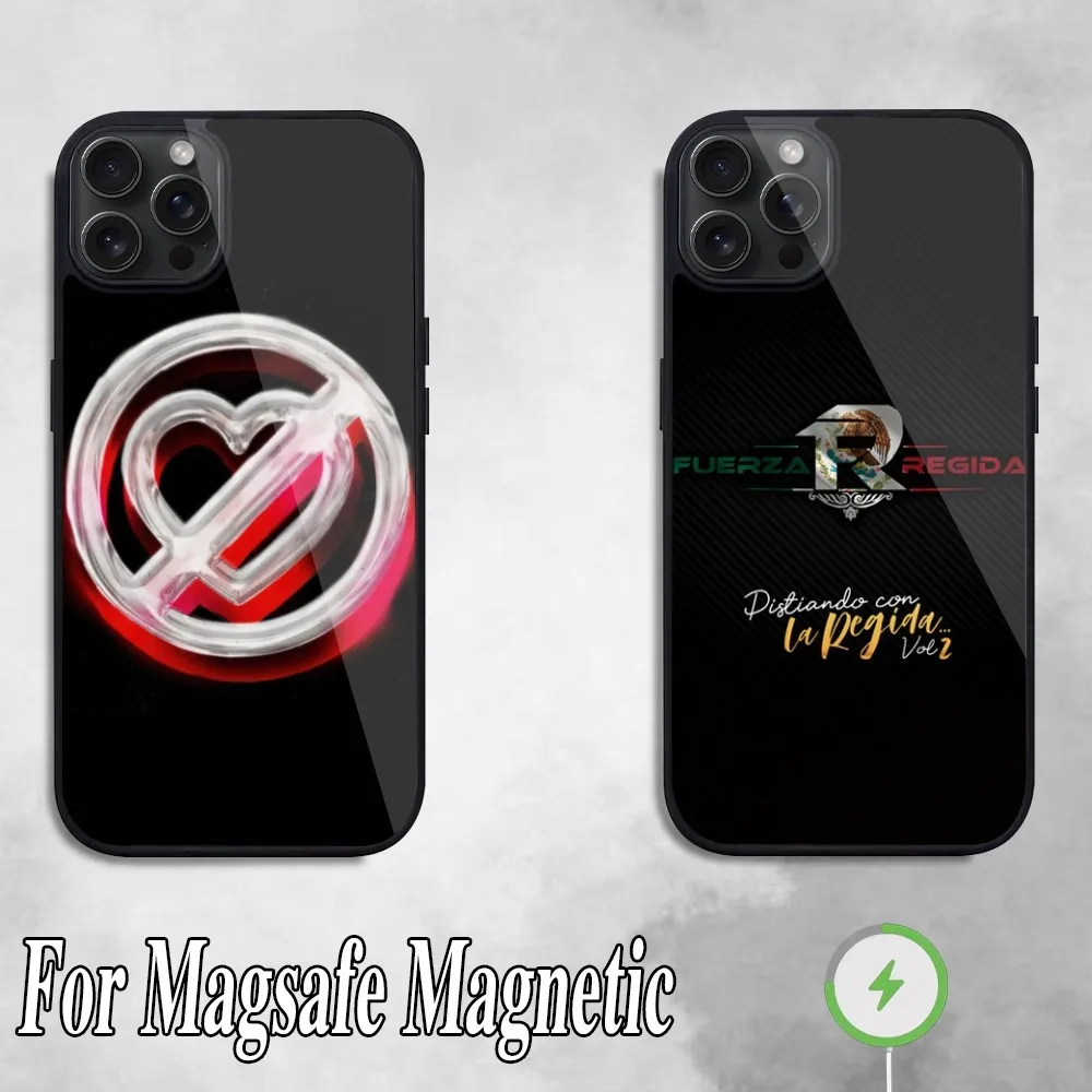 Чехол для телефона F-Force R-Regida NEL Band iPhone 11 Mini 12 13 Max 14 Plus 15 Pro Magesafe Магнитный чехол