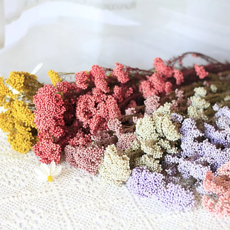 

50g Natural Millet Fruit Dried Flower Garden Decoration Christmas 2022 Novelties Ornaments Halloween Artificial Flowers Pampas